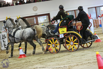 18.2.2018 - spřežení Brno