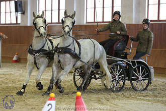 18.2.2018 - spřežení Brno