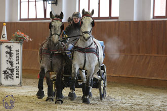 18.2.2018 - spřežení Brno