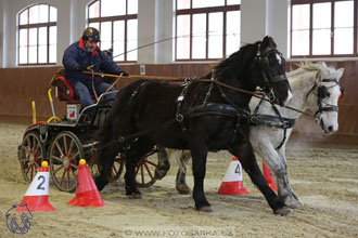 18.2.2018 - spřežení Brno