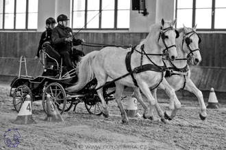 18.2.2018 - spřežení Brno