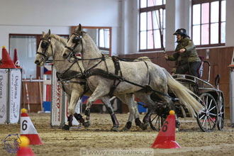 18.2.2018 - spřežení Brno