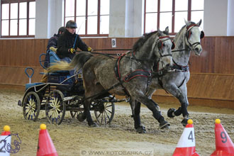 18.2.2018 - spřežení Brno