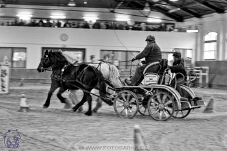 18.2.2018 - spřežení Brno