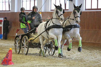 18.2.2018 - spřežení Brno