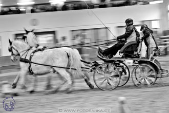 18.2.2018 - spřežení Brno