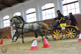 18.2.2018 - spřežení Brno