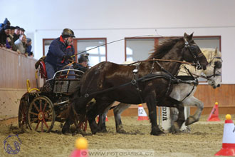 18.2.2018 - spřežení Brno