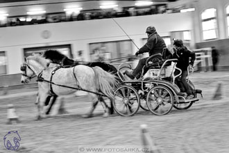 18.2.2018 - spřežení Brno