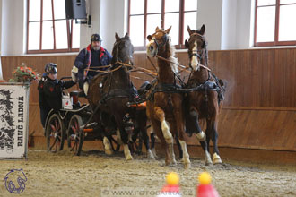 18.2.2018 - spřežení Brno