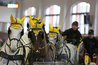 18.2.2018 - spřežení Brno