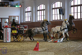 18.2.2018 - spřežení Brno