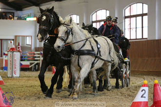 18.2.2018 - spřežení Brno