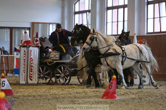 18.2.2018 - spřežení Brno