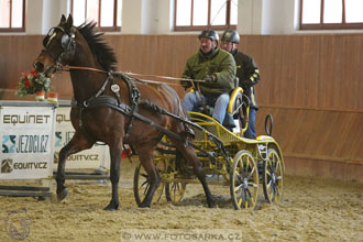 25.2.2017 - spřežení Brno