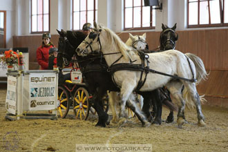 25.2.2017 - spřežení Brno