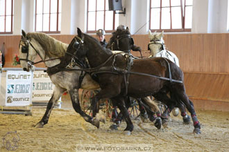 25.2.2017 - spřežení Brno