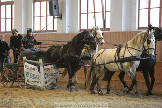 25.2.2017 - spřežení Brno