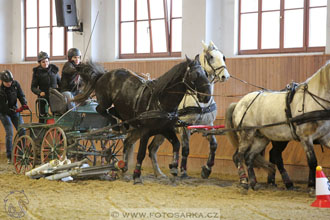 25.2.2017 - spřežení Brno