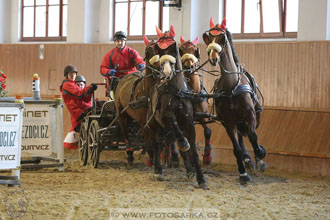 25.2.2017 - spřežení Brno