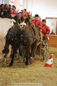 25.2.2017 - spřežení Brno