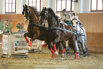 25.2.2017 - spřežení Brno