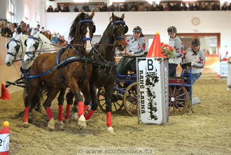 25.2.2017 - spřežení Brno