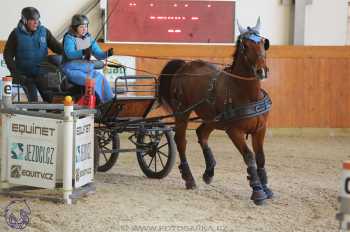 25.2.2018 - spřežení Královice