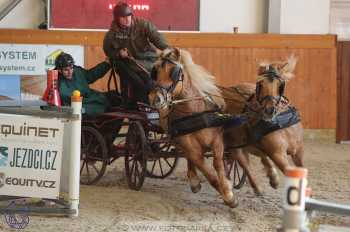 25.2.2018 - spřežení Královice