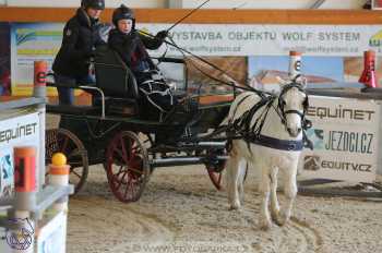 25.2.2018 - spřežení Královice