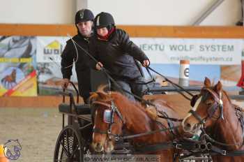 25.2.2018 - spřežení Královice