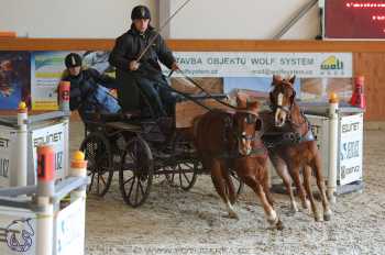 25.2.2018 - spřežení Královice