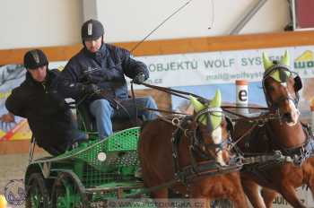 25.2.2018 - spřežení Královice