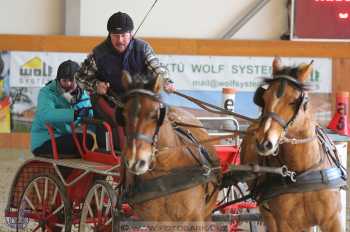 25.2.2018 - spřežení Královice