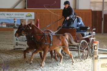 25.2.2018 - spřežení Královice