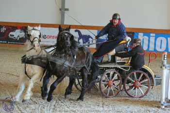 25.2.2018 - spřežení Královice