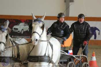 25.2.2018 - spřežení Královice