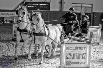 25.2.2018 - spřežení Královice