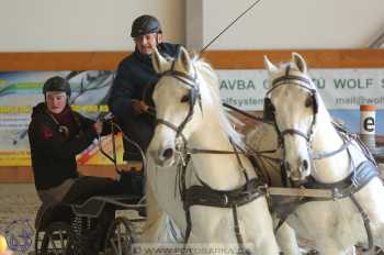 25.2.2018 - spřežení Královice