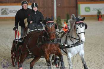 25.2.2018 - spřežení Královice