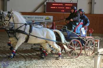 25.2.2018 - spřežení Královice