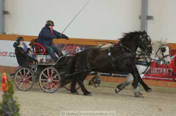 25.2.2018 - spřežení Královice