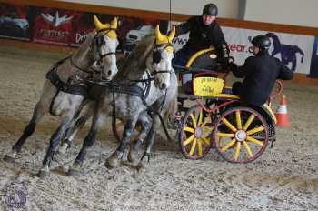 25.2.2018 - spřežení Královice