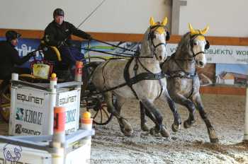 25.2.2018 - spřežení Královice