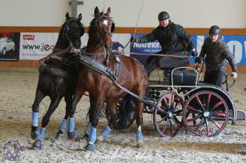 25.2.2018 - spřežení Královice