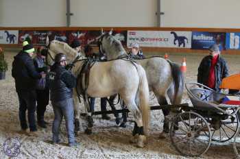 25.2.2018 - spřežení Královice