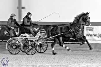 25.2.2018 - spřežení Královice