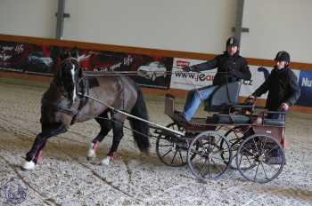 25.2.2018 - spřežení Královice