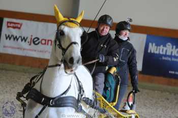 25.2.2018 - spřežení Královice