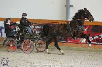 25.2.2018 - spřežení Královice